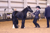 KSB_0638
