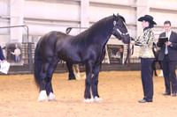 KSB_0618