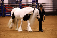 KSB15862