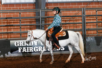 250 & 251 Working & Conformation Stake W/T/J - Junior