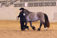 KSB_0486