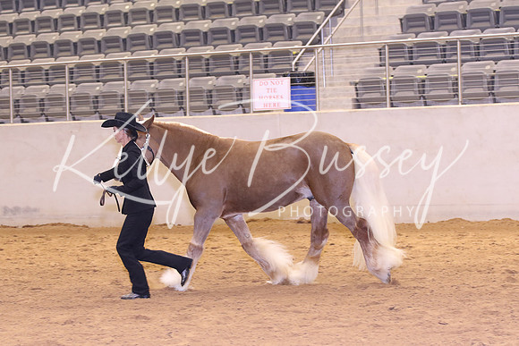 KSB_0483