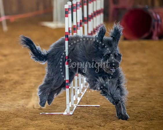 KSB_2484-Edit