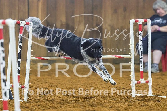 KBP_0651