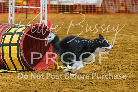 KBP_0272