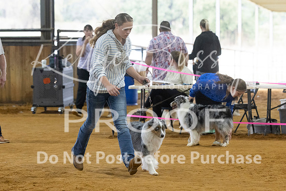 KBP_3519