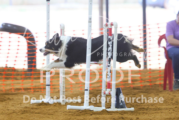KBP_0688
