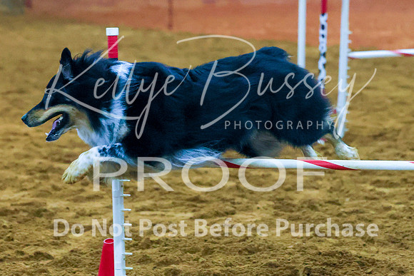 KBP_0179