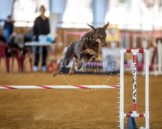 KSB_2538