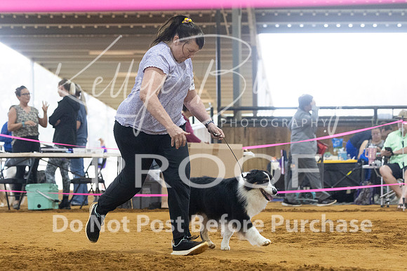 KBP_3559