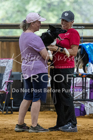 KBP_2709