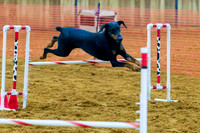 KBP_0197
