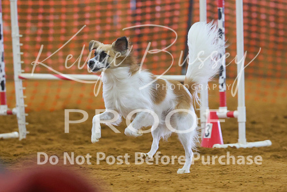 KBP_0959