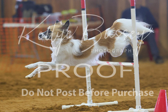 KBP_0968
