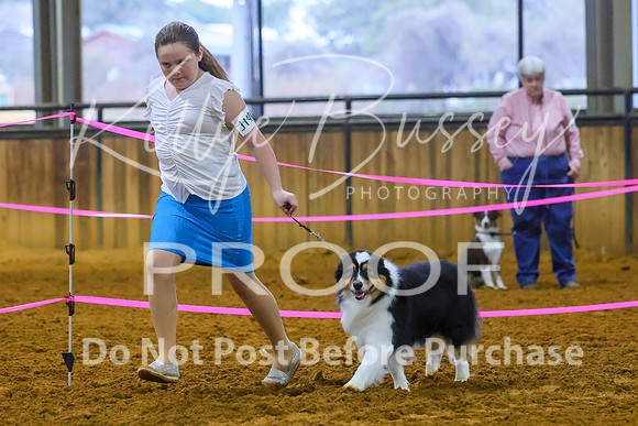 KBP_0037