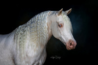 2W4_2321-Edit-2