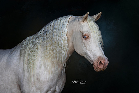 2W4_2321-Edit-2