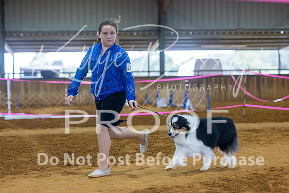 KBP_3413