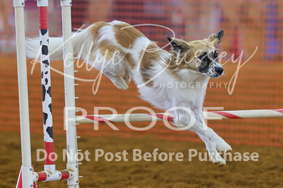 KBP_0972