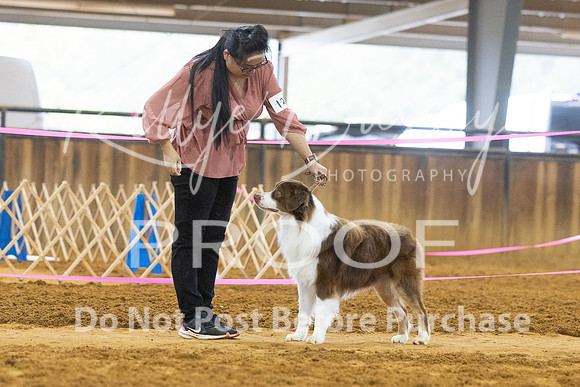 KBP_3696