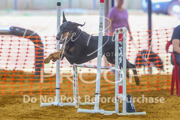 KBP_0494