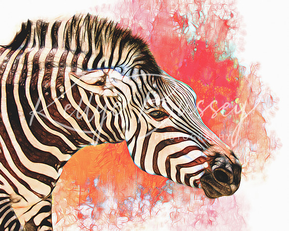 Cranky Zebra
