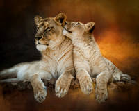 Love You Mom