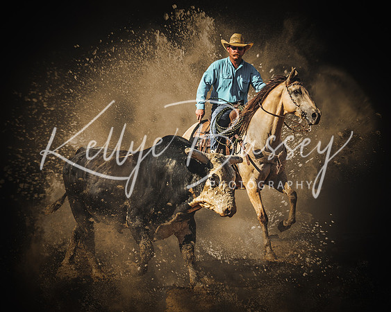 Turquoise Cowboy