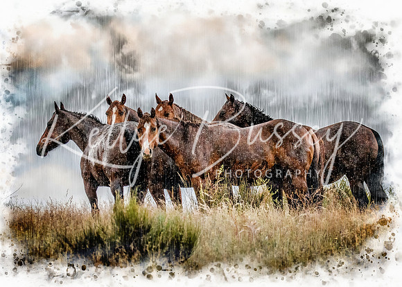 Rain Horses