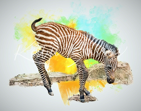 Learning to Dance