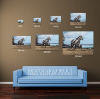 Wall Display Template
