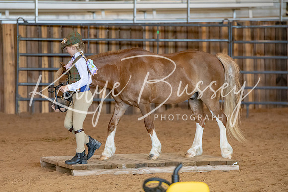 KB2_7484