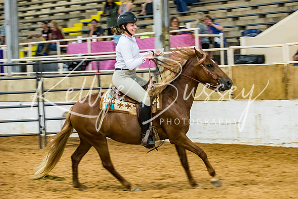 KB2_9162