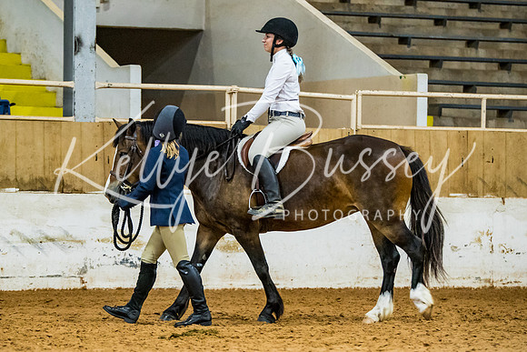 KB2_9267