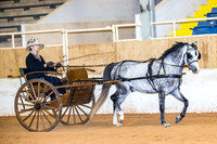 2018 Arbuckle Horse & Pony Summer Celebration
