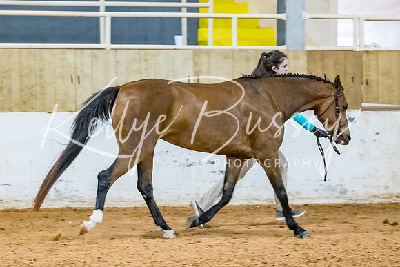 KB2_9494