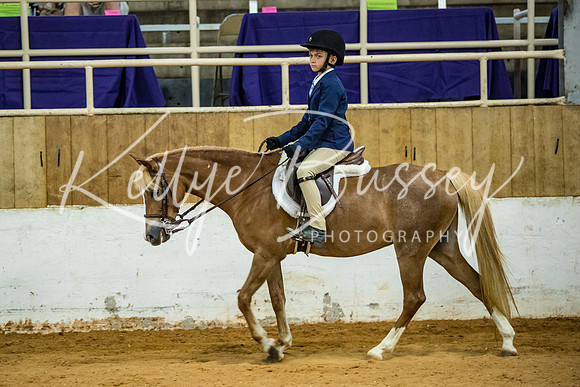 KB2_9691