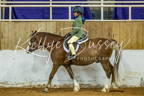 KB2_9695