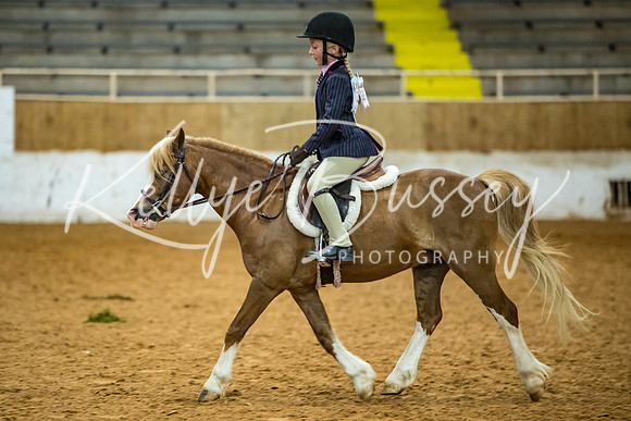 KB2_9713