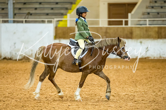 KB2_9732