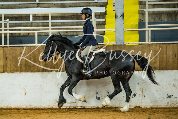 KB2_9868
