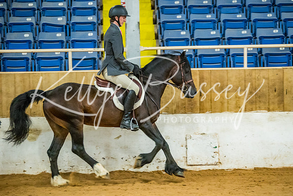 KB2_9894