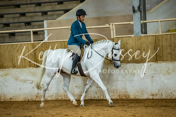 KB2_9991