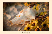 Memoriam
