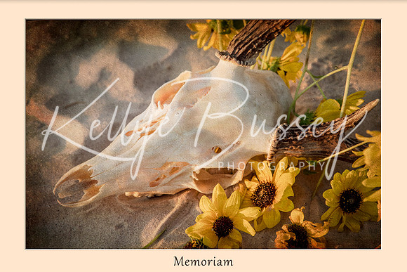 Memoriam