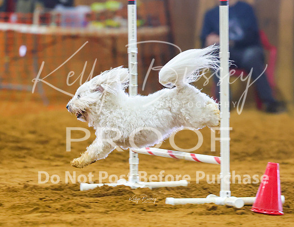 KBP_0883