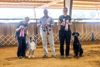 Saturday