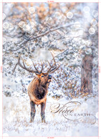 Peace on Earth
