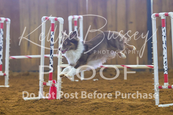 KBP_0935