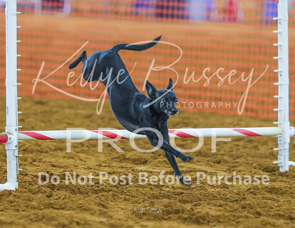 KBP_0873